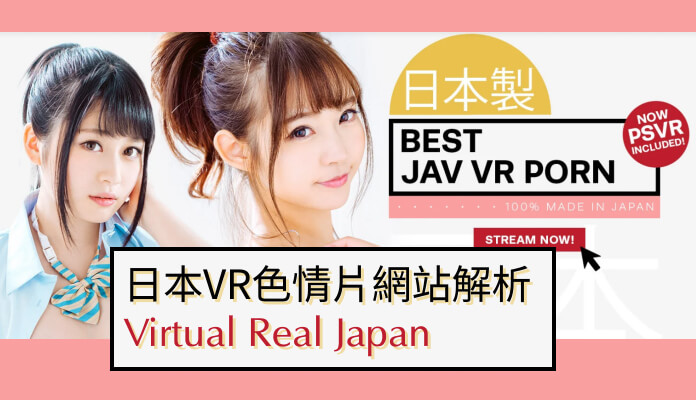 日本成人VR